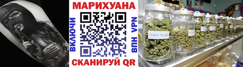 купить наркотики цена  Отрадный  МЕГА зеркало  Канабис сатива 